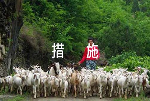 如何设计一份适合初学者的篮球爆发力训练方案?_1